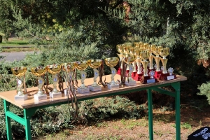 Mistrzostwa Gminy w Biegach Przełajowych 2018_80