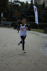 Mistrzostwa Powiatu Sztafety-przełaj 2019_26