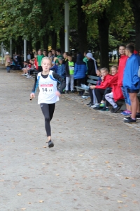 Mistrzostwa Powiatu Sztafety-przełaj 2019_33