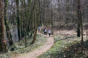 Mistrzostwa Powiatu w Biegach Przełajowych_12