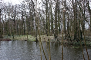 Mistrzostwa Powiatu w Biegach Przełajowych_46