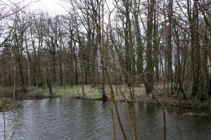 Mistrzostwa Powiatu w Biegach Przełajowych_47