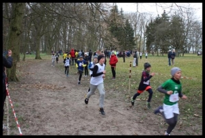 Mistrzostwa w biegach przełajowych_14