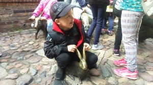 Na wycieczce we Wrocławiu_14