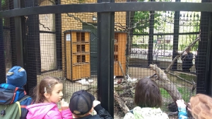 Na wycieczce we Wrocławiu_26