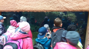 Na wycieczce we Wrocławiu_27