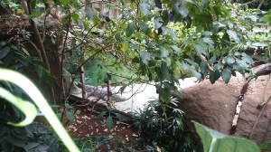 Na wycieczce we Wrocławiu_32