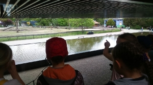 Na wycieczce we Wrocławiu_33