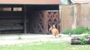 Na wycieczce we Wrocławiu_39