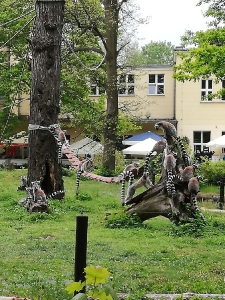 Wycieczka do Wrocławia 2 SP_11