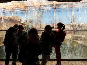 Wycieczka do Wrocławia 2 SP_9