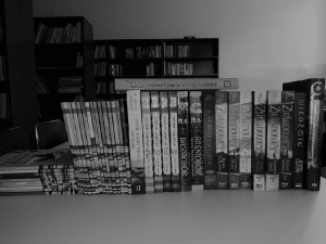 Nowości w bibliotece_4