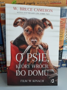 Nowości w bibliotece_9