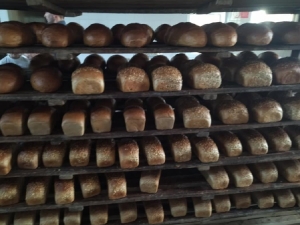 Skąd się bierze chleb? Wycieczka do piekarni._15