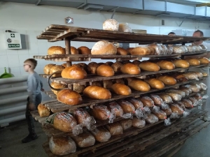 Skąd się bierze chleb? Wycieczka do piekarni._3