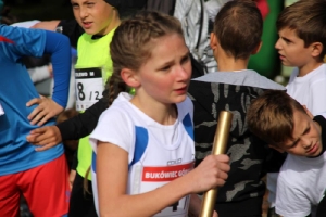 Sztafetowy Bieg na Przełaj - Leszno - 4.10.201_46