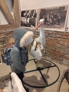 Wycieczka do Muzeum Rolnictwa i Palmiarni_49