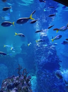 Wycieczka klasy II i III do Wrocławia_16