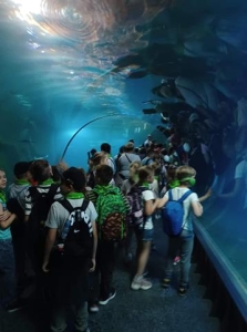 Wycieczka klasy II i III do Wrocławia_23