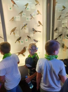 Wycieczka klasy II i III do Wrocławia_2