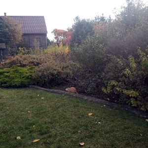 Wyjazd na Koczury na podsumowanie akcji Sprzątania Świata 2019_1