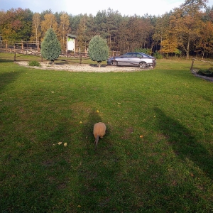 Wyjazd na Koczury na podsumowanie akcji Sprzątania Świata 2019_2